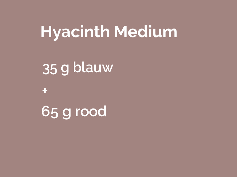 Hyacinth medium.png